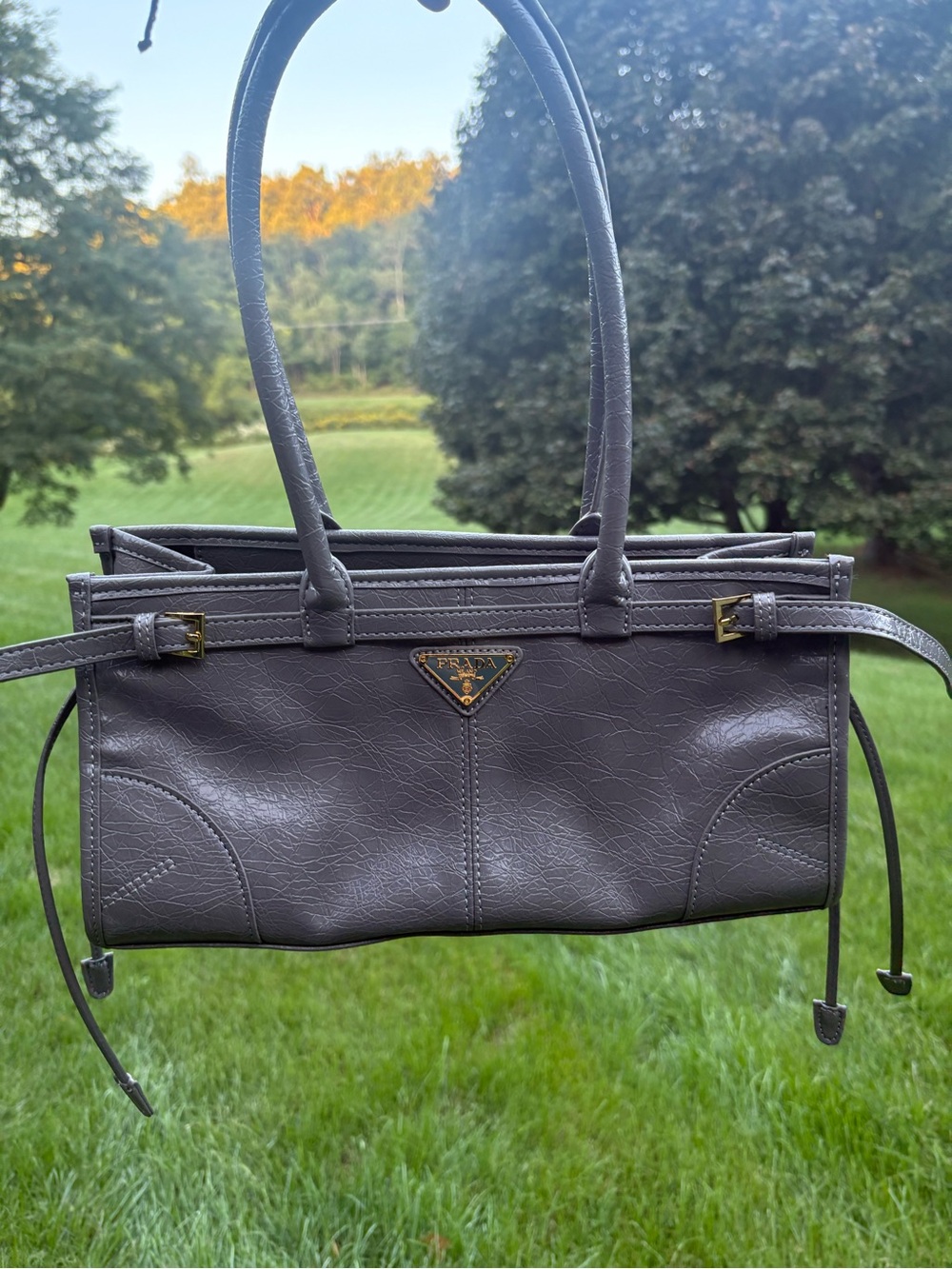 Bonnie Medium Grey Crinkled Bag Novelty Nice
No Crossbody Strap